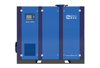 BHS低壓無油螺桿節(jié)能真空泵系列